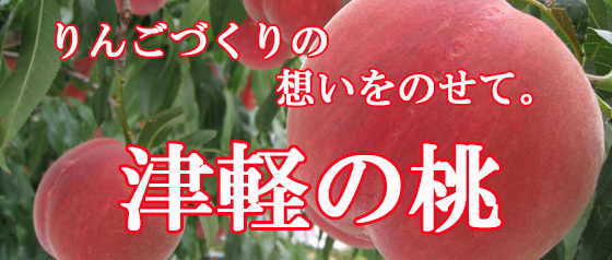 津軽の桃